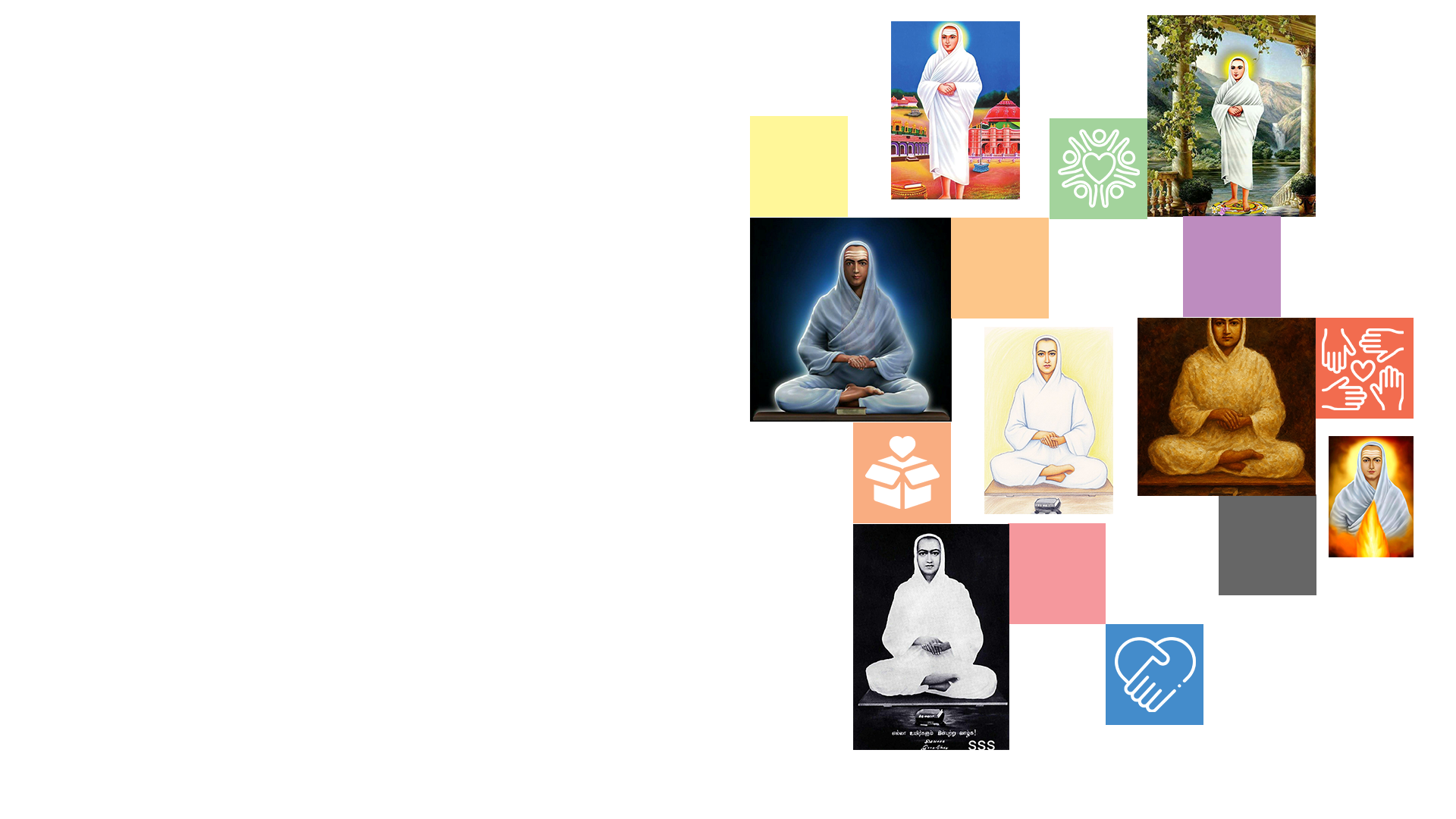 Volunteer Activities